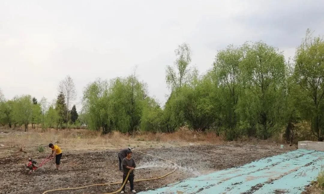 拉市海有几个马场_拉市海哪里可以骑马_拉市海最好的马场