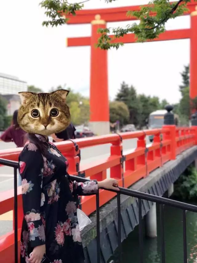 京都旅游要花多少钱_京都旅游住哪个区最好_京都游玩攻略一日游