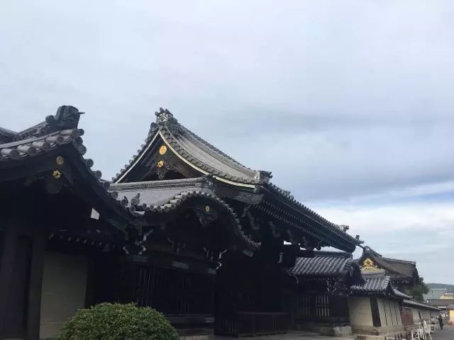 京都旅游要花多少钱_京都旅游住哪个区最好_京都游玩攻略一日游