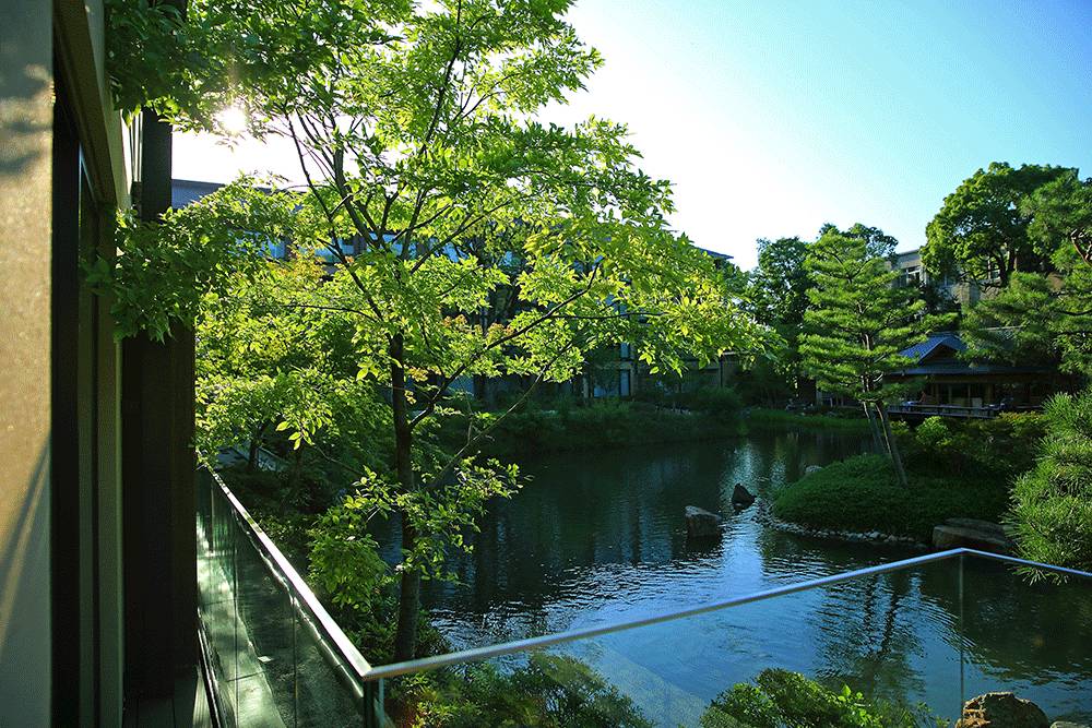 京都旅行景点_京都住旅游区好玩吗_京都旅游住哪个区最好