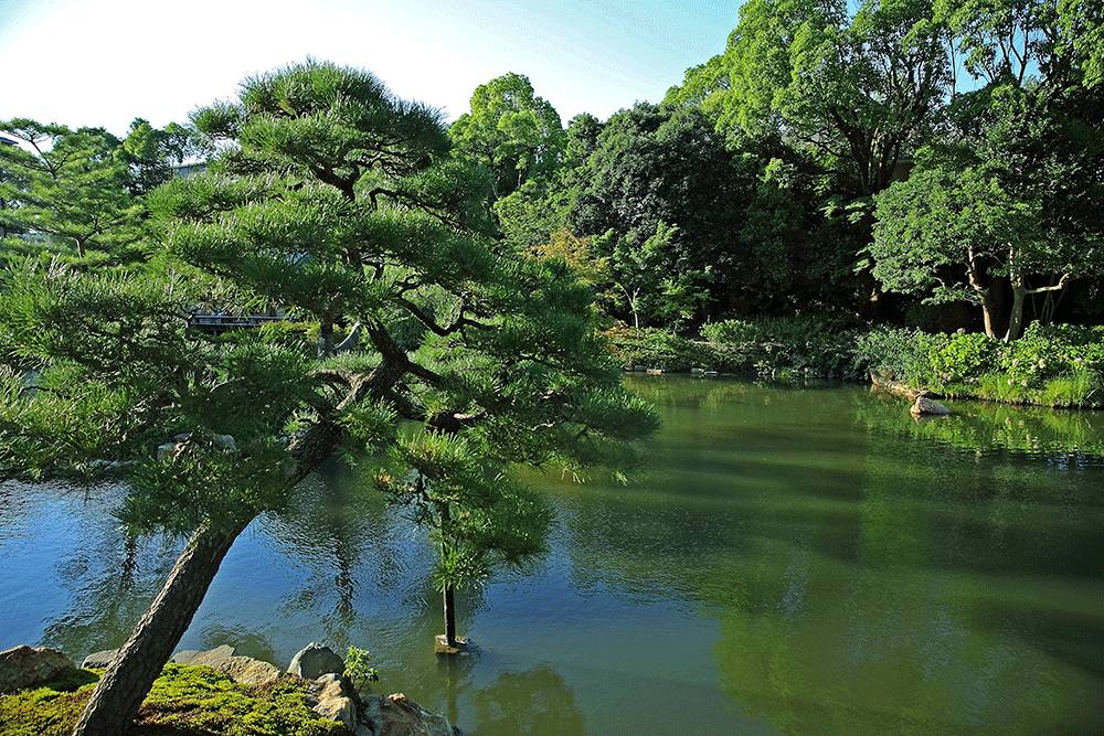 京都住旅游区好玩吗_京都旅游住哪个区最好_京都旅行景点