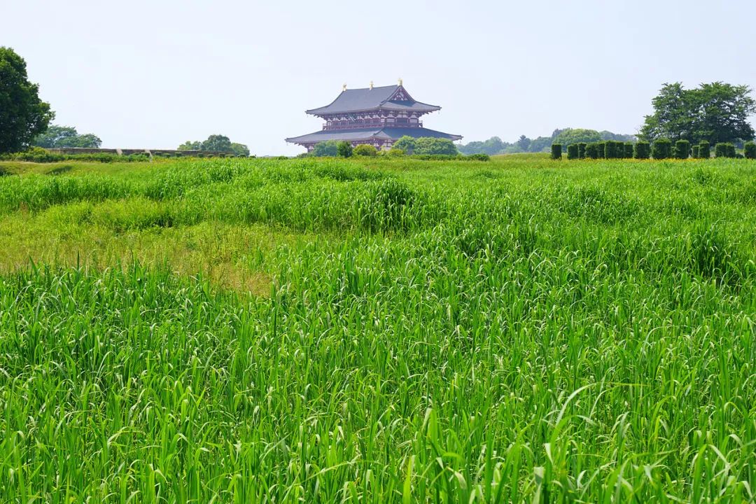 京都旅游要花多少钱_京都游玩攻略一日游_京都旅游住哪个区最好