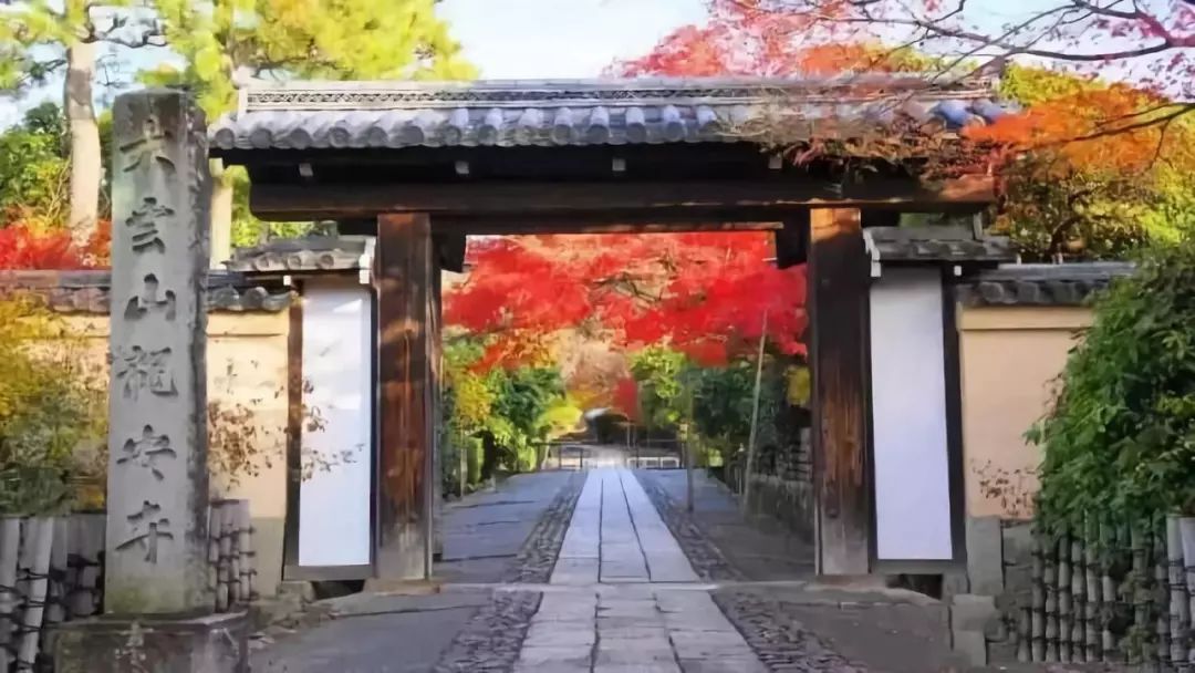 京都游玩攻略一日游_京都旅游要花多少钱_京都旅游住哪个区最好