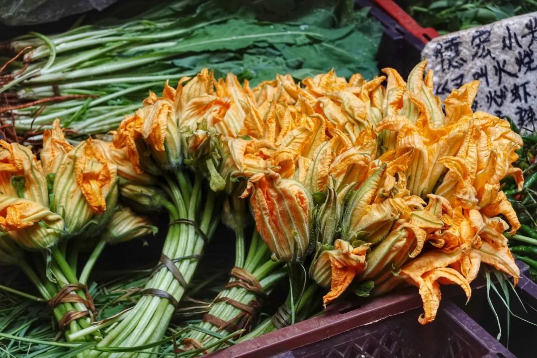 香蓼草_香蓼草的功效与作用_香蓼