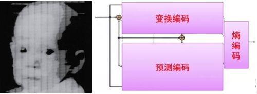 风行器播放下载网络连接失败_风行网络播放器下载_怎么解决风行播放器