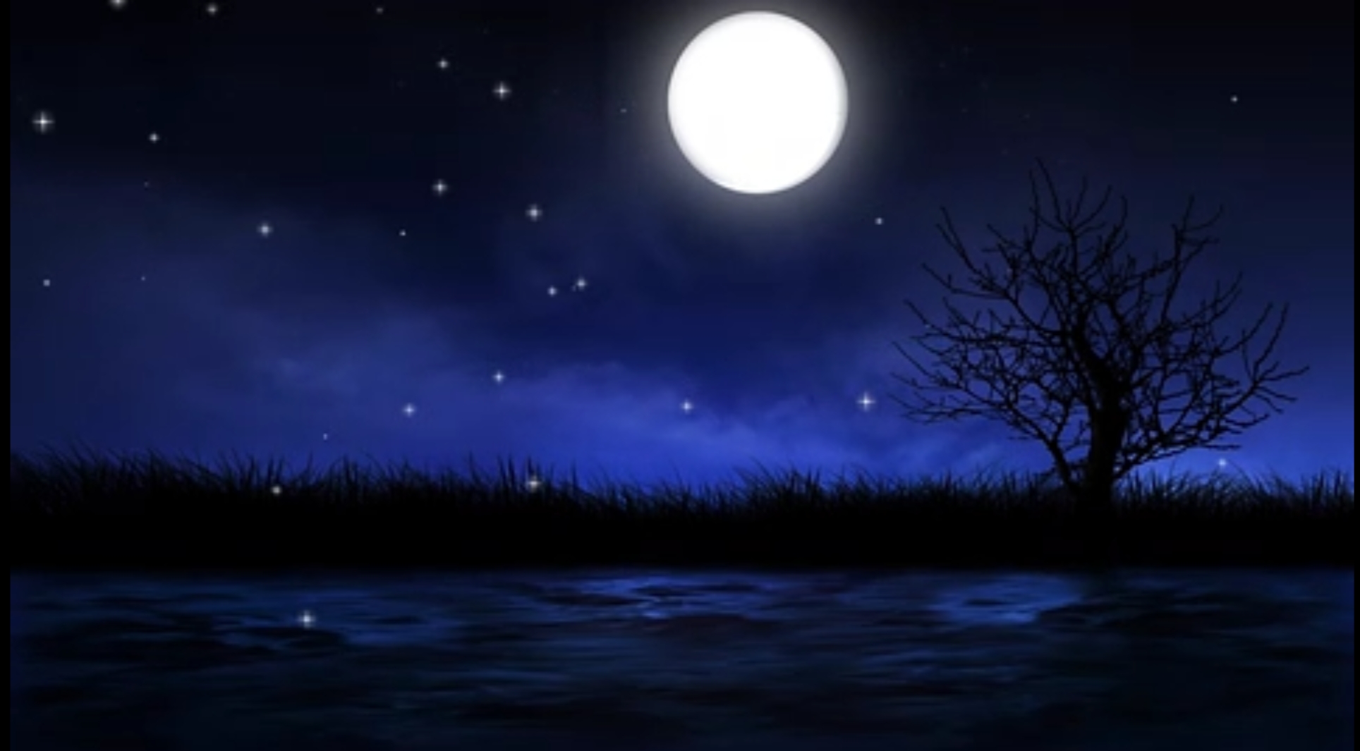 《十五夜望月寄杜郎中》：今夜月明人尽望，不知秋思落谁家？