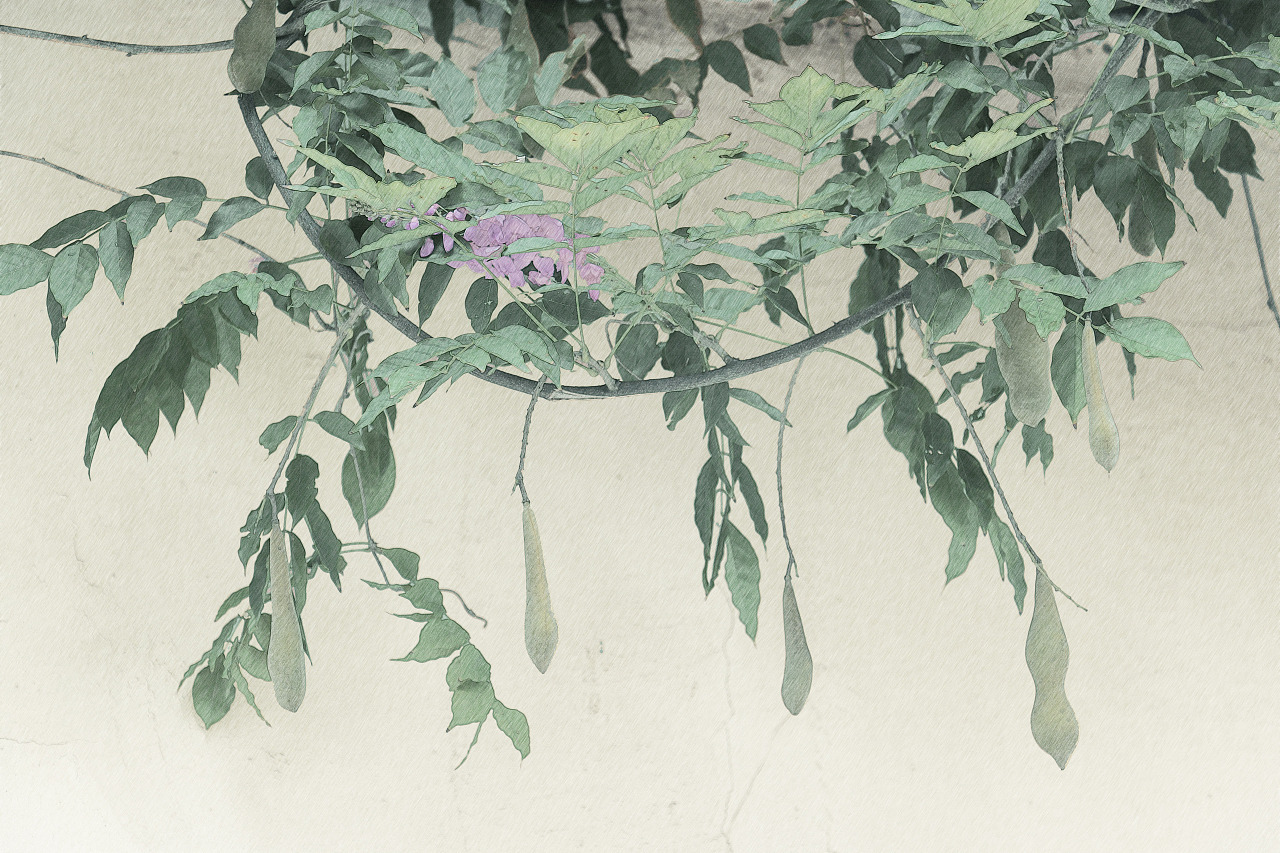 一首诗里写了7种植物，从李商隐的诗看唐朝的植树绿化