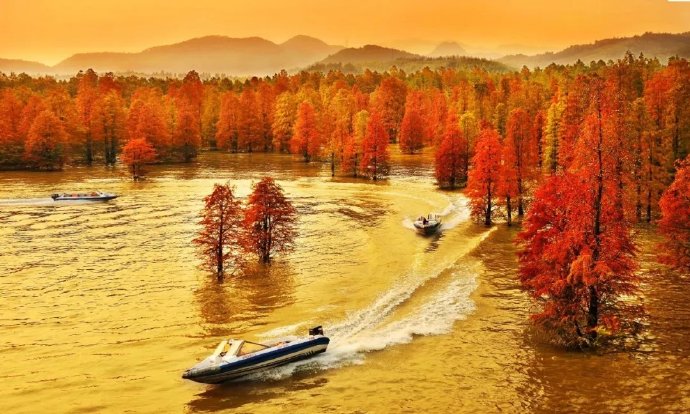水上森林童话！临安青山湖最美的样子在秋天