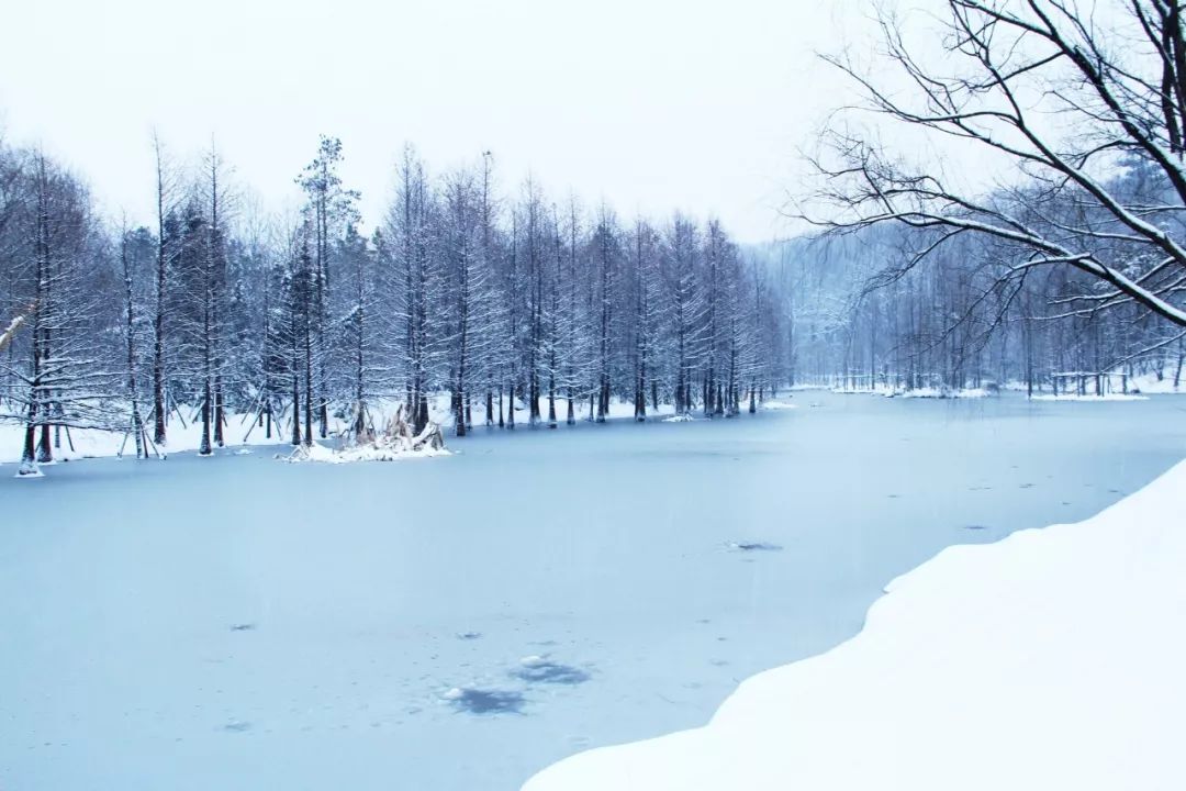 8首最著名的冬日诗词，一首一个名句，哪一句打动了你？